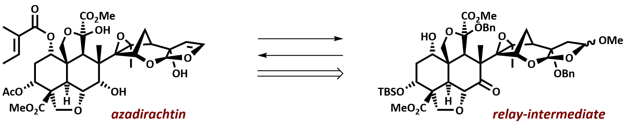 Abstract image for A Relay Route for the Synthesis of Azadirachtin