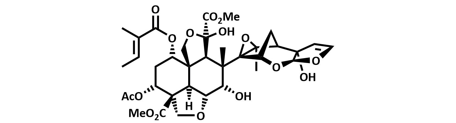 Abstract image for The Azadirachtin Story