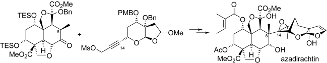 Abstract image for The Synthesis of Azadirachtin: A Potent Insect Antifeedant