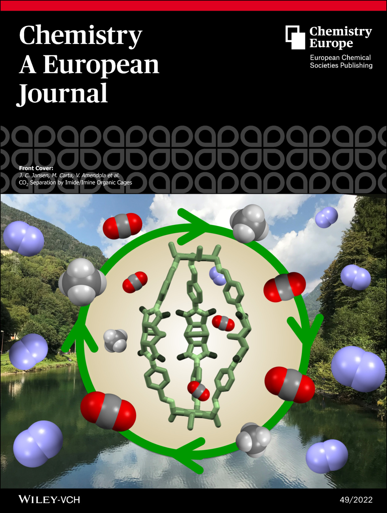 Cover for Chem. Eur. J. 2022 28 49.