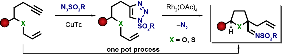 Abstract image for Rhodium(II)-Catalyzed Stereocontrolled Synthesis of 2-Tetrasubstituted Saturated Heterocycles from 1-Sulfonyl-1,2,3-triazoles