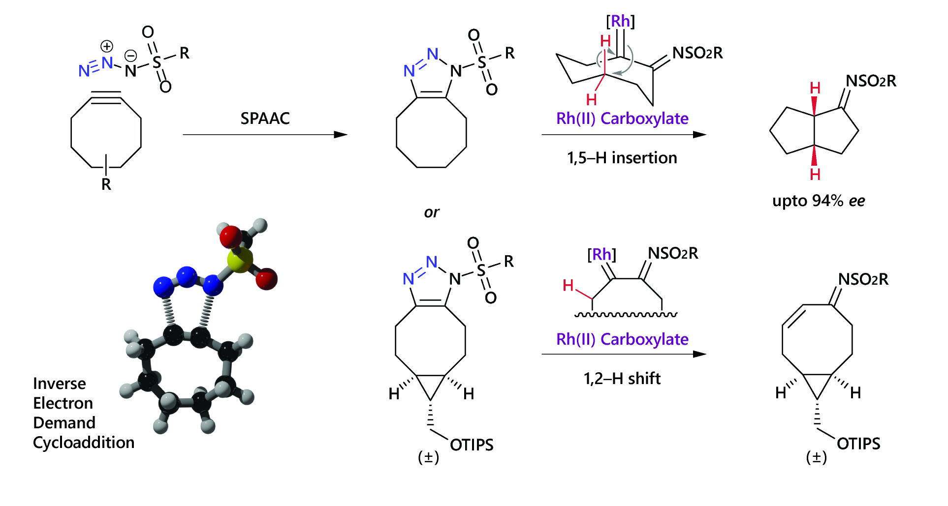 Abstract image for Synthesis and Reactivity of 1-Sulfonylcyclooctatriazoles